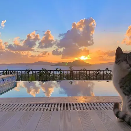 Вилла Bodrum - 5 Bedrooms “sunset Villa”, With Infinity Heated Swimming Pool